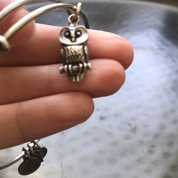 Alex and Ani owl bangle bracelet in silver - Picture 5 of 6